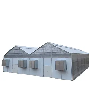 Skyplant a buon mercato serra struttura completa luce oscurante serra completamente automatizzato canapa invernadero agricoltura serra