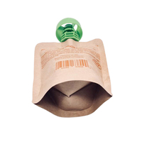 Sac d'aspiration en papier kraft marron personnalisé anti-fuite pochette à bec pour boisson liquide de haute qualité