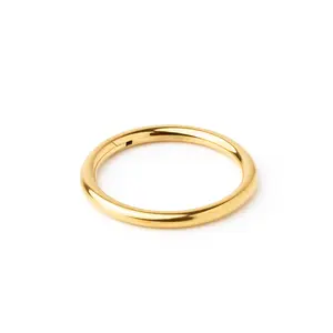Piercing de Nariz de titanio G23 chapado en oro, joyería con bisagras, anillo de Nariz de segmento para mujer