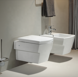 Tankless पल्स निस्तब्धता दीवार लटका पानी कोठरी के लिए अंडा आकार शौचालय मिनी बाथरूम छोटे आकार अंतरिक्ष - Product Image 5