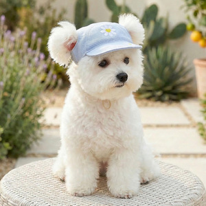 Chapeaux pour animaux de compagnie de différents designs, couvre-têtes pour chats et chiens pour la protection solaire et l'ombrage, casquette de baseball pour chien, accessoires pour animaux de compagnie - Product Image 2