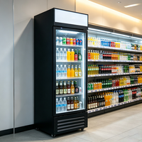 Enfriador Comercial para Bebidas y Cerveza, Control de Temperatura Mecánico, Enfriamiento Directo, Exhibidor de Vino, Congelador para Supermercado