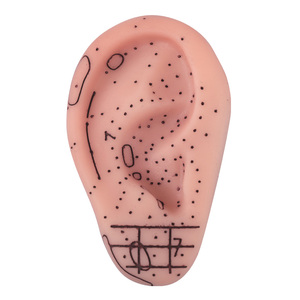 Offre Spéciale Silicone <span class=keywords><strong>Oreille</strong></span> Acupuncture Modèle Réflexologie Professionnelle Acupoint Apprentissage Massage <span class=keywords><strong>Oreille</strong></span> Modèle 8cm - Product Image 1