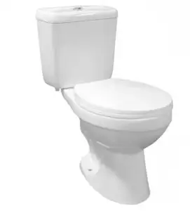 Washdown Bathroom Mounted Toilet Large Diameter Ghana Wc Toilet Africa Wc Two Piece Toilet for Sale Ceramic China White Color