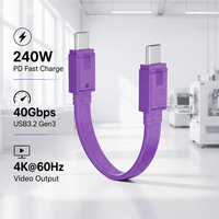 Câble court USB-C FPC personnalisé OEM 240W, données haute vitesse 40 Gbit/s, vidéo 4K60Hz, mode DP alternatif, cordon flexible et pliable, puce E-Marker