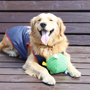 Retail Eco-Friendly <b>Dog</b> Soft Fabric <b>Ball</b> Built-in Bell Sound Chewing Training Throwing Pick Pet Toys for Indoor Use Wholesale - Product Image 4