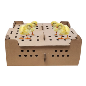 Giao thông vận tải gà giấy Chick Giao thông vận tải hộp các tông gà Gà Hộp các tông - Product Image 6