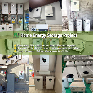 Système de batterie de secours domestique 51,2 V 100 Ah 5 kWh avec BMS intelligent LFP, kit Powerwall modulaire pour stockage d'énergie durable - Product Image 1