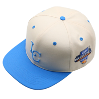 Gorras de Béisbol Bordadas Personalizadas OEM de Alta Calidad, Unisex, 100% Algodón, 6 Paneles, Gorras Deportivas Casuales