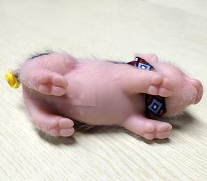 R & B-Mini muñeca realista de bebé <span class=keywords><strong>Reborn</strong></span> de silicona pura, Rosa suave, con gorro de pelo, nuevo diseño - Product Image 6