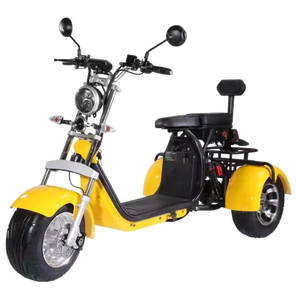 Tricycle Électrique <span class=keywords><strong>3</strong></span> <span class=keywords><strong>Roues</strong></span> de Qualité Exceptionnelle 2026 <span class=keywords><strong>pour</strong></span> Adultes – Vélo Électrique à Trois <span class=keywords><strong>Roues</strong></span> Citycoco - Product Image 2
