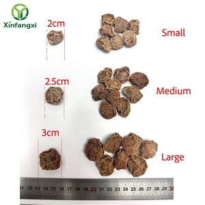 Prugne Essiccate <span class=keywords><strong>Salate</strong></span> Li Hing Mui Naturali e Salutari, Morbide e Dolci, Frutta Disidratata all'Ingrosso, Snack di Frutta Essiccata di Grandi Dimensioni - Product Image 2