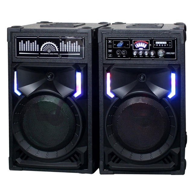 2020 NEW ARRIVAL Popular Tweeter Active 10'' Pair Speakers Party Dancing Speakers with Bluetouch/USB/SD/FM/Remote Control