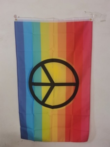 ธงสีรุ้ง LGBTQ ไพรด์ ทำจากโพลีเอสเตอร์ 100% พร้อมห่วงตาไก่และแถบผ้าแคนวาส - Product Image 5