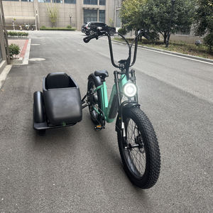 Vente en Gros d'Usine OEM Tricycle Électrique Rétro Style Chopper avec Side-Car pour Animaux de Compagnie, Idéal pour Voyager - Product Image 5