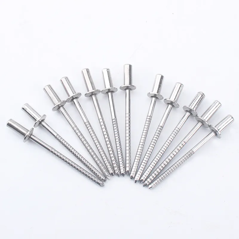 Stainless Steel Blind Rivets 2.4mm 3.2mm 4.0mm 4.8mm 6.4mm Round Head Sealed Rivets