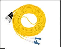 LC/FC Duplex Single Mode Fiber Optic Patch Cord FTTH Indoor Cable OEM Customizable LSZH Jacket 1310/1550nm Wavelength 0.2dB