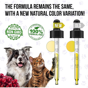 Gocce multivitaminiche liquide per cani quotidiano glucosamina acido folico vitamina B C <span class=keywords><strong>D3</strong></span> supporto Immune Allergies-1g per la salute dell'intestino cutaneo - Product Image 2