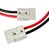 Connecteur haute intensité 40A/50A/120A/175A/350A 600V, câble de charge de batterie, faisceau de câblage pour véhicule électrique, borne en cuivre