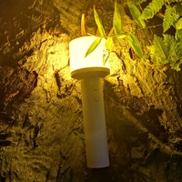 Nouvelle veilleuse LED RGB sans fil à détecteur de mouvement PIR, rechargeable USB-C, en ABS blanc, à détection corporelle, 300LM
