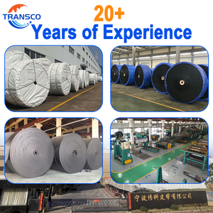 EP400 PVC-Gewebe-Kern Gummiband 800mm Breite Edelstahl Verstellbarer Schwarzer Ölbeständiger Förderband Neuer Hunan Doppelband - Product Image 6