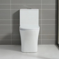 WC monobloc en céramique blanche à double chasse, cuvette allongée, design moderne à siphon, fermeture douce, à poser au sol