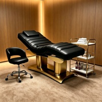 Lit de massage électrique réglable pour SPA, rééducation, nouveau style, lit de tatouage, lit de beauté pour salon de beauté