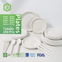 Ensemble de vaisselle réutilisable écologique biodégradable en amidon de maïs de 250 pièces, assiettes compostables, couteau, fourchette, cuillère, ustensiles de camping
