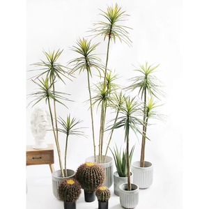 Agave artificielle à feuilles étroites en pot, 2,3 m de haut, simulation réaliste, décoration intérieure pour maison, salon, hôtel, accessoires de mariage - Product Image 2
