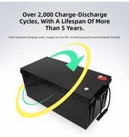 Rak Baterai LiFePO4 200Ah Semi Solid State untuk Penyimpanan Energi, Cocok untuk Aplikasi Server Tenaga Surya