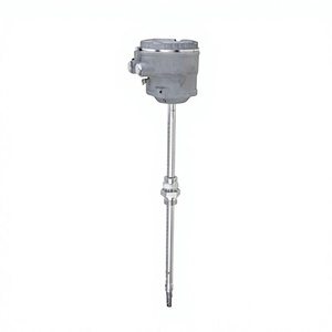 Medidor de Flujo Másico de Gas Térmico E+H Endress Hauser, Tipo Dividido, Cable de 20m, Pantalla + Botones, China - Product Image 4