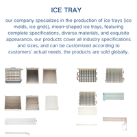 500kg ou 1000kg par jour Cube Ice Machine Bac à glace par matériau Personnaliser la taille de la glace 22*22*22mm 29*9*22mm 38*38*22mm