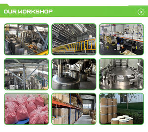 Polvo de Enzima Pullulanasa de Grado Alimenticio 2,000 U/ml, Muestra Gratuita de Enzima Pullulanasa - Product Image 3