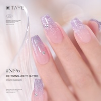Ensemble de vernis à ongles en gel complet de haute qualité et longue durée TAYE Salon Manicure