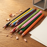 LEADUR Ensemble de 24 crayons à l'huile avec mine de 4,0 mm pour projets artistiques scolaires