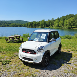 Oferta Especial: Coche Eléctrico Mini de Nueva Energía con Batería de Litio de Largo Alcance y Maletero Espacioso para Transporte Familiar y de Adultos - Product Image 1