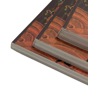 Servizio di Stampa Personalizzata all'Ingrosso di Libri per Bambini a Colori, Romanzi Grafici, Libri di Storie con Copertina Morbida o Rigida - Product Image 3