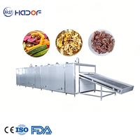 Équipement de séchage automatique des fruits, machine de séchage à bande maillée en acier inoxydable 304 pour la transformation alimentaire, fleur de pois papillon