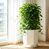 Pots à fleurs carrés en plastique PP, avec trou de drainage, durables, capacité de 21,01 L, design moderne pour la maison et le jardin