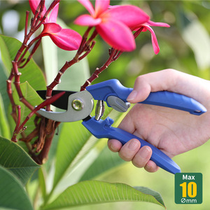 Bypass Pruner Carbon Steel 10 Mm Cutting Capacity Blue Handle For Gardening Horticulture Fruit Tree Pruning - Product Image 1