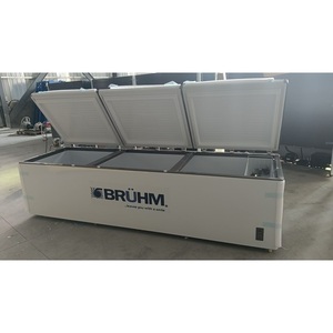 Congelador Frigobares Otros suministros para hoteles y restaurantes 100l 600 litros Debajo del mostrador Refrigerador Tienda congrelador de pecho grande - Product Image 1