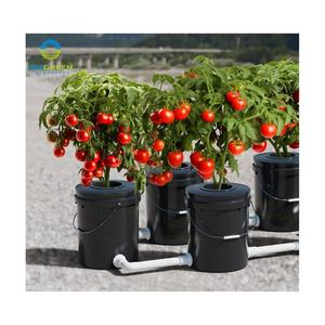 DWC-systeem 16L Nieuw Ontwerp RDWC Hydroponisch Kweeksysteem Kits Diepwater Systeem 4,22 Gallon 5 Emmers Recirculerend Hydro. DWC - Product Image 2