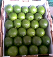 Groothandel 100% Verse Pitloze Kalkveilige Exportkwaliteit Uit Vietnam