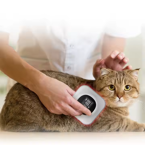 Die neueste 650nm 808nm Laser-Kalt laser therapie für den menschlichen Gebrauch bei Horse Dog Cat Arthritis Pain Relief Device - Product Image 2