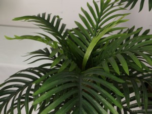 Petites plantes artificielles de <span class=keywords><strong>palmier</strong></span> de style bonsaï <span class=keywords><strong>en</strong></span> pots pour intérieur et extérieur Décoration d'intérieur unique - Product Image 3