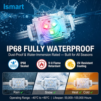 Luces LED de Puntos de Píxeles Ismart, DC48V, Luces de Medusa Ws2811 Ucs2904, Luces Navideñas Permanentes para Exteriores, Impermeables para Aleros