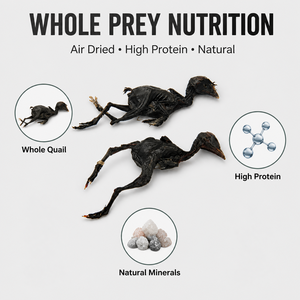 Friandises pour chiens au poulet noir séché à l'air, <span class=keywords><strong>recette</strong></span> traditionnelle pour la santé et la vitalité, viande séchée naturelle pour chiens - Product Image 2