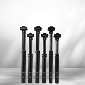 <span class=keywords><strong>Tija</strong></span> de sillín telescópica de aleación de aluminio con altura ajustable RIRO y barra de extensión de altura ajustable para ciclismo - Product Image 2
