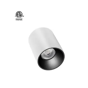 Daytonled 마스터 D IP65 시리즈 펜던트 led 표면 마운트 통 led 외부 조명