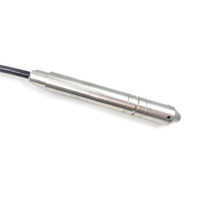 Sonde de 19 mm, 4-20 mA, piezomètre hydrostatique en acier inoxydable, capteur de niveau d'eau submersible, transmetteur pour puits profond